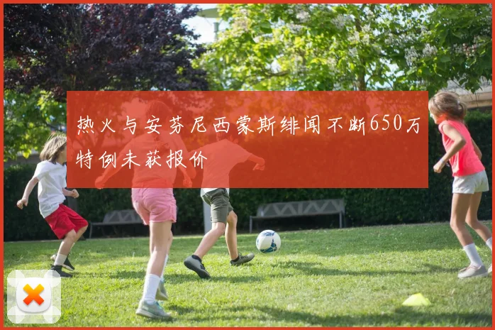 热火与安芬尼西蒙斯绯闻不断650万特例未获报价