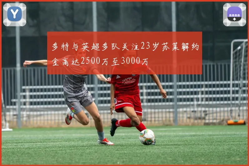 多特与英超多队关注23岁苏莱解约金高达2500万至3000万