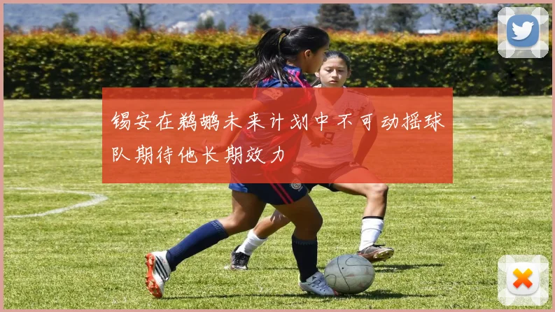 锡安在鹈鹕未来计划中不可动摇球队期待他长期效力
